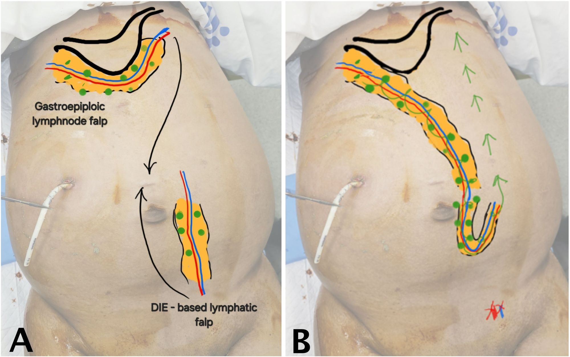 Figure 1.jpg